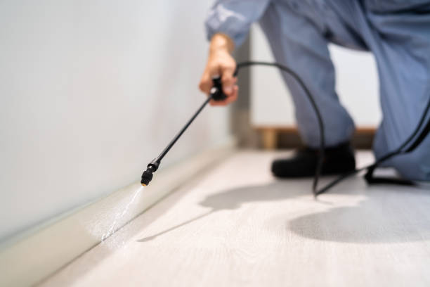 Licensed Exterminator service in Vernon, AL - Show Me Pest Control